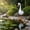 A, variant on Porch Goose Statue, Lawn Goose Outdoor, 24Inch Metal Garden Goose, Art Sculpture for Home Lawn Backyard Porch Patio Decoration