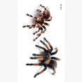 thumbnail image 4 of Pegatinas de tatuajes de araña/escorpión/Mosquito, arte corporal temporal de Halloween, cuello, pierna, pegatina desechable, pegatina de araña Punk extraíble, 4 of 4