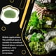 thumbnail image 5 of Wosthever Adorno de terrario Rainforest Diorama Supplies Faux Moss Enchanted Semi-handmade Floral Surtido Green-cover Decoración del hogar Nº 95 7*10cm, 5 of 6