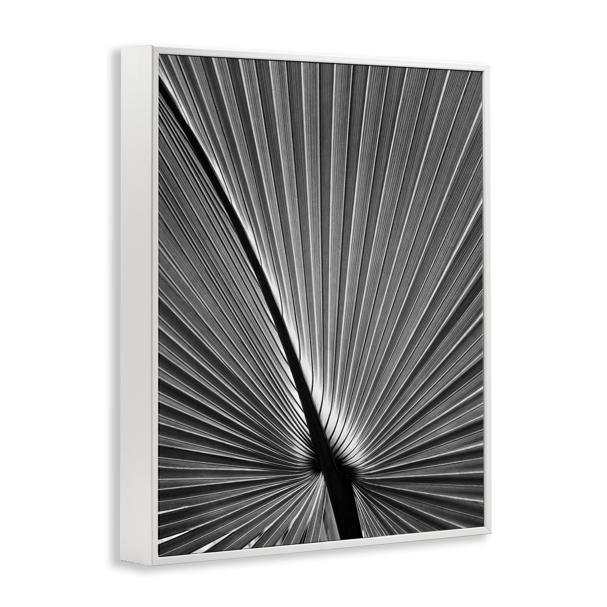 Stupell Industries Palm Frond Detail Botanical & Floral Photography White Framed Art Print Wall Art, 11 x 14
