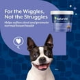 thumbnail image 6 of NaturVet Stool Ease Stool & Bowel Supplement for Dogs, Bacon and Chicken Flavor, 40 Count, 6 of 10