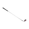 thumbnail image 3 of pitrice Fer de Golf pour Hommes Femmes Régulier Alliage Débutants Tête Flex Pratique Club Rouge Zinc, 3 of 6