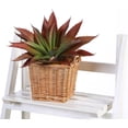 thumbnail image 3 of Plantas de aloe suculentas artificiales de tacto real, flores falsas sin maceta para arreglos de bodas y festivales en el hogar, 3 of 6