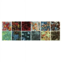 Mayco 2003170 1 Pint Jungle Gems Glaze, Assorted Color - Set of 12