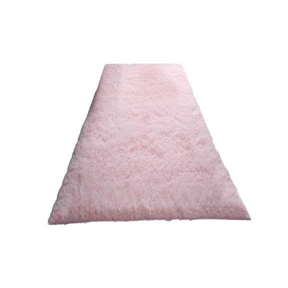 Lilixerw 24 x 79 inch Large Area Rugs,Ultra Soft Plush Throw Carpets Soft Runner Rugs for Bedroom Room Dorm Living Room Home Decor