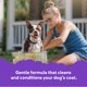 thumbnail image 3 of Champú y acondicionador para perros Buddy Wash Lavender & Mint 480 ml, 3 of 9