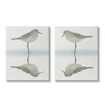 Stupell Industries Tranquil Sandpiper Reflection Nautical Bird Beach Shore Graphic Art Gallery Wrapped Canvas Print Wall Art, Set of 2, Design by Ziwei Li