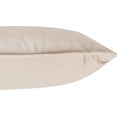 thumbnail image 2 of A1HC Set of 2 Luxurious Soft Velvet Throw Pillow Covers Only, 12"x20", Beige, Decorative Cushion Covers with Hidden YKK Zipper for Sofa or Bed, 2 of 5