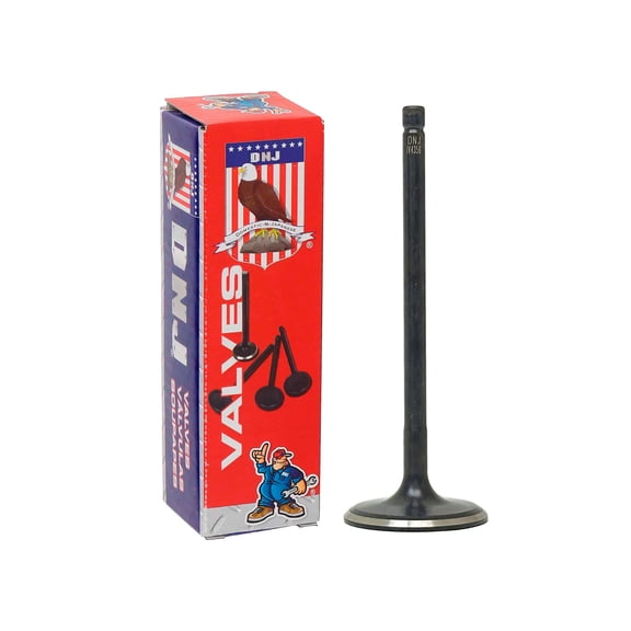 DNJ IV4356 Intake Valve Set Fits Cars & Trucks 2009-2009 Kia Borrego 4.6L V8 4627cc 32V DOHC