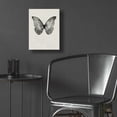 thumbnail image 5 of Epic Art 'Black Butterfly on Tan' by Design Fabrikken, Acrylic Glass Wall Art, 12"x16", 5 of 8