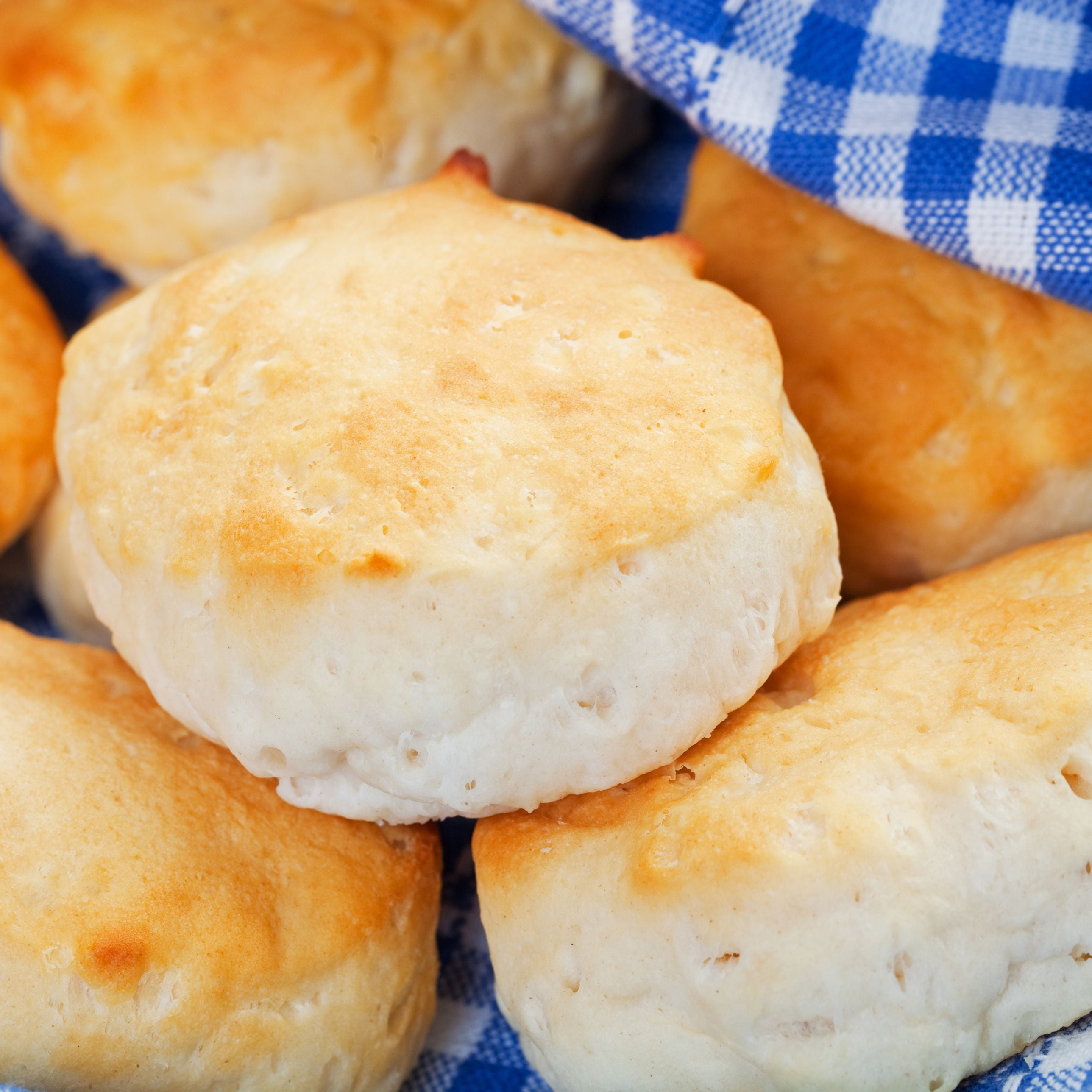 Augason Farms Buttermilk Biscuit Mix Can Emergency Food Supply, 29 Servings, 10 Year Shelf Life - Biscuit Mix Just Add Water and Baking Powder