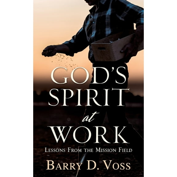 God's Spirit at Work: Lessons From the Mission Field, (Paperback)