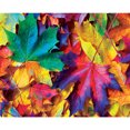 thumbnail image 2 of Cuadros Decorativos Diamante pintura otoño colorido hojas de arce 5D DIY taladro redondo completo (A5838) Tmvgtek embutido en tela, 2 of 8
