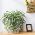 thumbnail image 6 of 2PCS Plastic Artificial Spider Plant Fake Silk Plant Faux Greenery Home Wedding Indoor Outdoor Decor, 6 of 6