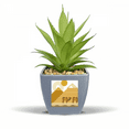 thumbnail image 1 of Egypt Yellow Green Sphinx Pyrads Camel Fake Pineapple Flower Pot Vase Mini Decor, 1 of 3