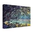 thumbnail image 4 of Trademark Fine Art "A Place to Dream" Canvas Art by Beata Czyzowska Young, 4 of 4