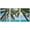 WHITE, variant on wall26 Framed Canvas Print Wall Art Set Palm Trees & Boat on Blue Beach Nature Wilderness Photography Realism Rustic Scenic Relax/Calm Multicolor for Living Room, Bedroom, Office - 16"x24&qu
