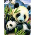 thumbnail image 1 of Diamond Drill Panda 5D Kits de pintura de bricolaje Full Round Wall Decor Crafts (A6151) Hugtrwg Para estrenar, 1 of 9