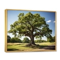 thumbnail image 2 of Designart "Majestic Oak Trees Nature s Wonders II" Floral Floater Framed Wall Decor, 2 of 7