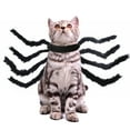 thumbnail image 1 of Pet Chest Back Strap Cats Dogs Animals Spider Transformation Costume, 1 of 8