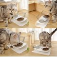 thumbnail image 5 of Jinsinto Bols de Nourriture pour Chat, Bols de Nourriture pour Chat Inclinables à 15°, Double Bols de Nourriture pour Chat, Bol de Nourriture Transparent pour Chat, 5 of 5