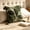 Green, variant on Bawilom Vintage European Bohemian Style Homestay Hand- Cushion Pillows Cover Sofa Tassel Pillowcase