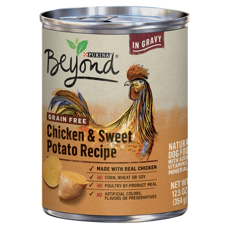 Gravy Recipe - Purina Beyond Grain Free, Natural Gravy Wet Dog Food, Grain Free Chicken & Sweet Potato Recipe - 12.5 oz. Can