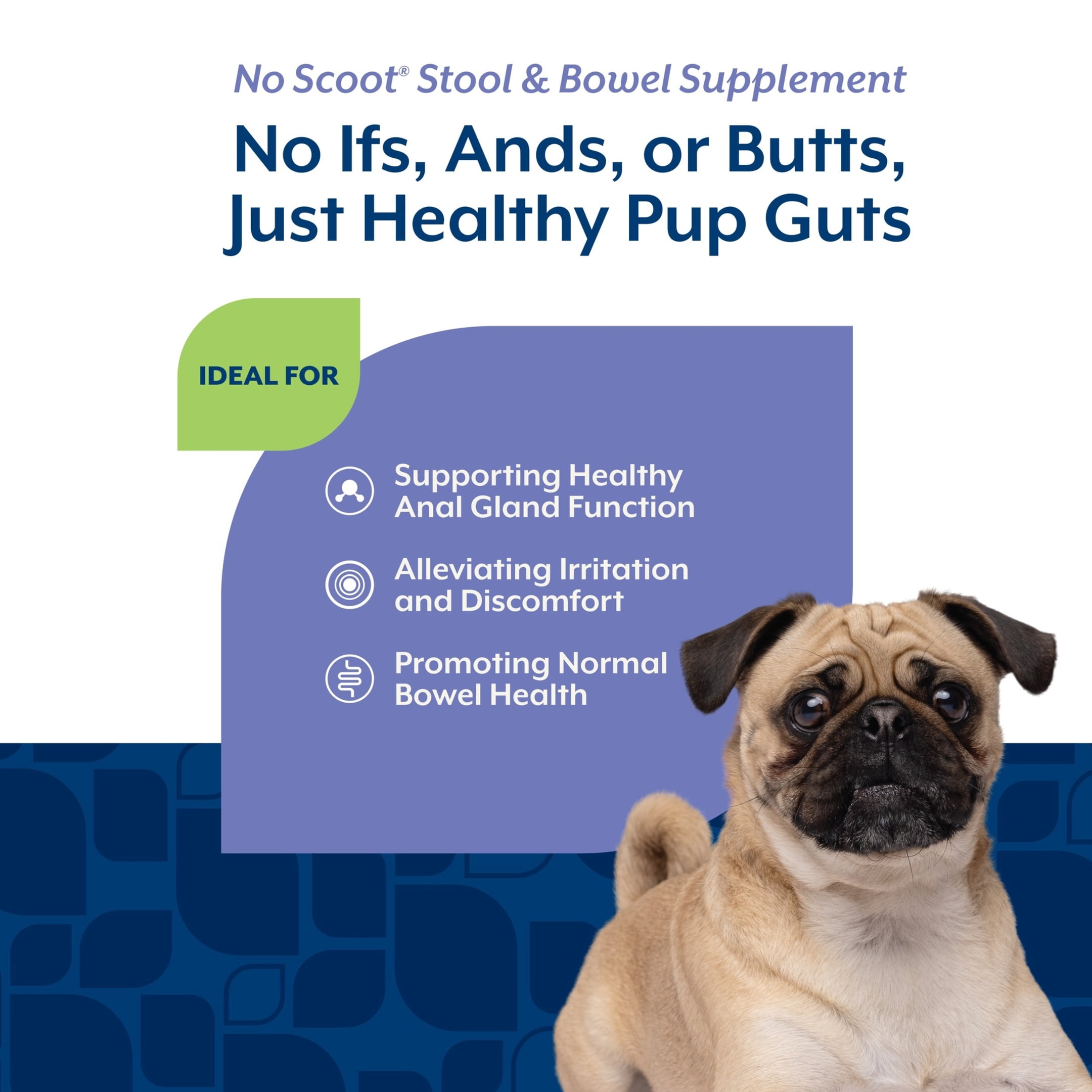 NaturVet No Scoot Stool & Bowel Supplement for Dogs, Hickory Smoked Bacon Flavor, 60 Count