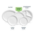 Chinet Classic Dinner Paper Plates, 10.375", 165 ct- With Paper Towel By OMA