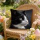 thumbnail image 1 of Spring Cute Pet Patterns Imitation Embroidery Cushion Cover Soft Throw Pillow Cover For Sofa And Chair Ideal Choice For Spring Easter Sofa And Bedroom Decor, 1 of 6