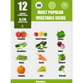 thumbnail image 5 of RitualBoxy 12 Vegetable Seed Variety Pack – 6,000+ Non-GMO Seeds, Heirloom, High Germination Rate – Home Garden Seed for Hydroponic, Indoor and Outdoors Gardening, 5 of 6