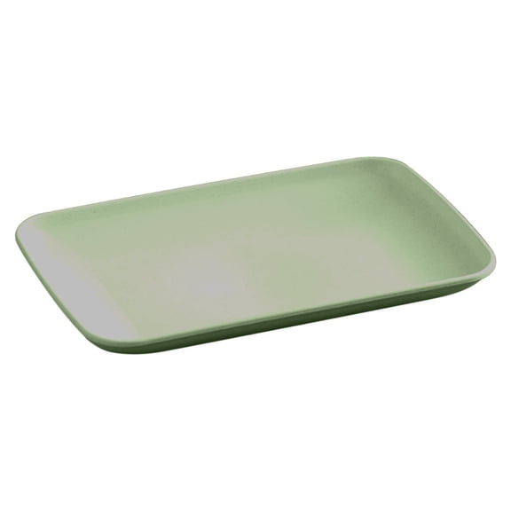 Dvumao Plastic Barbecue Rectangular Fruit Plates Kitchen Cooking Dining Serving 5.71 x 0.98 Inch