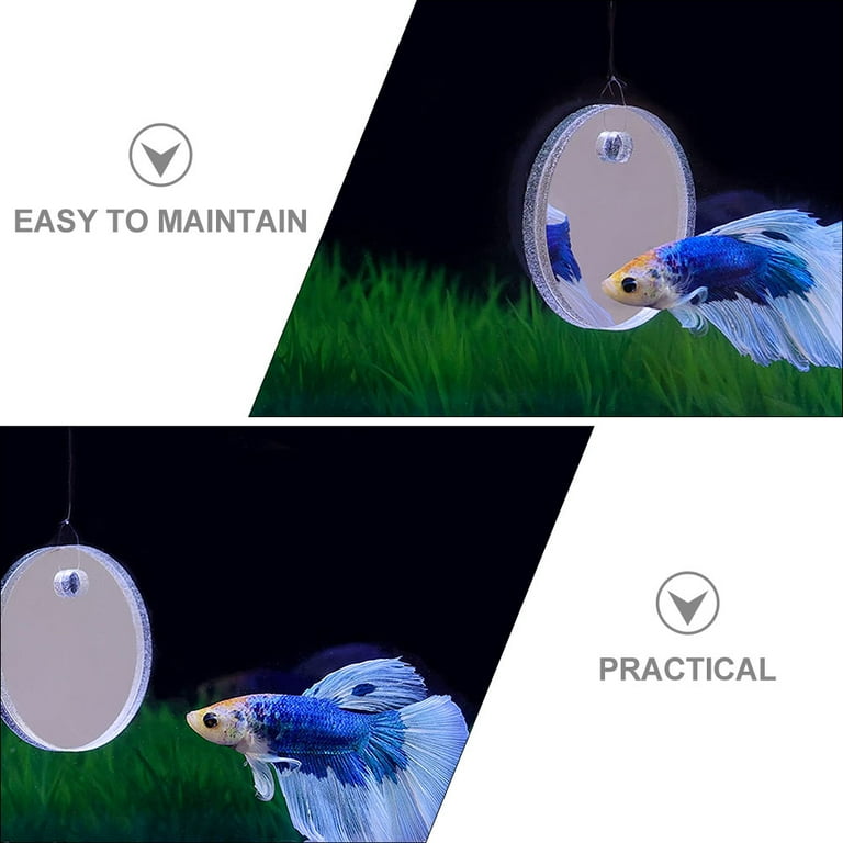Betta mirror toy hotsell