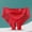 #233-Red, variant on Warop Women's Sexy Lace Panties, Comfortable and Breathable with Bow Design, For Daily Use and Intimate Wear