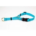 thumbnail image 1 of MPP Deluxe Martingale Dog Collar Adjustable Heavy Soft Brass Hardware (XLarge 21 to 30 Inches, Turquoise), 1 of 1
