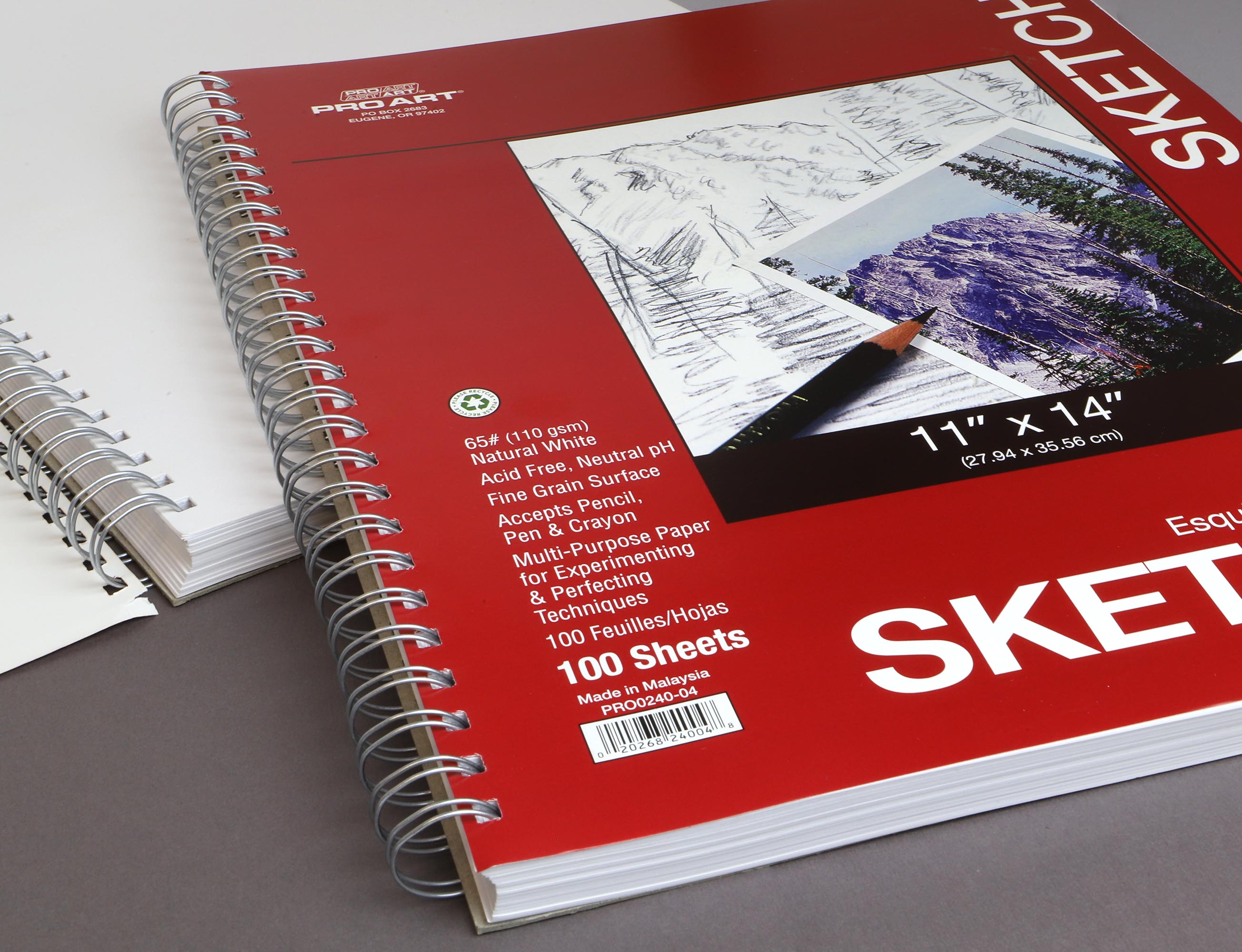 Pro Art Sketch Pad 14x11, 60lb, 100 sheets, Side Wire, Sketch Book,  Sketchbook, Drawing Pad, Sketch Pad, Drawing Paper, Art Book, Drawing Book,  Art Paper, Sketchbook for Drawing 