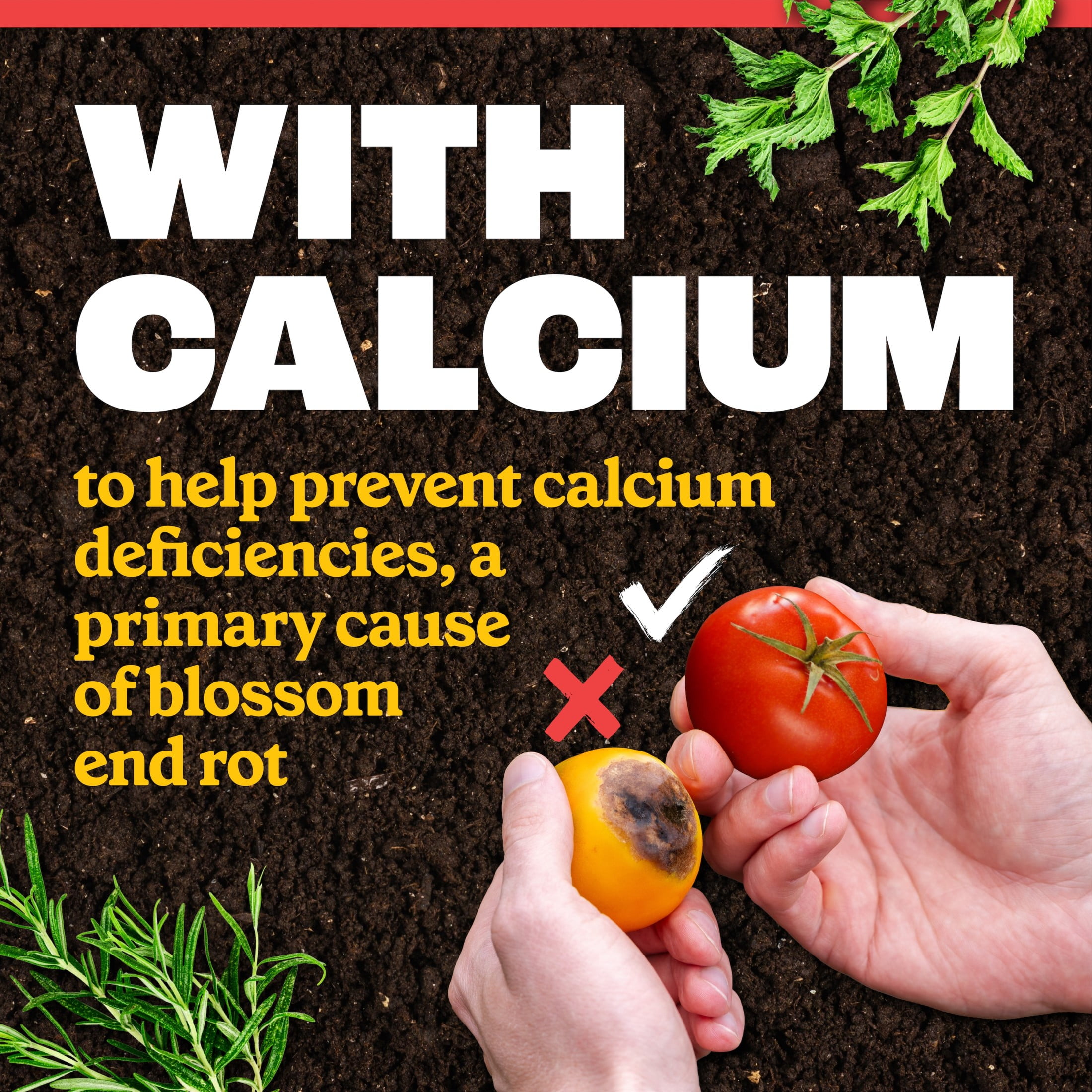 Pennington Full Season Tomato & Vegetable Garden Plant Food, 10-15-15 Fertilizer, 4lb.