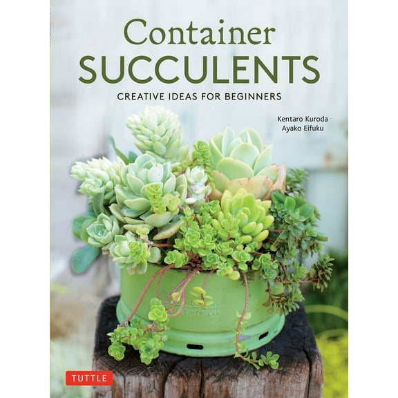 Container Succulents: Creative Ideas for Beginners, (Paperback)