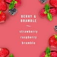 thumbnail image 3 of Febreze Odor-Eliminating Scented Wax Melts Watermelon Scent, 2.75 oz. Wax Melts (6 Cubes), 3 of 10