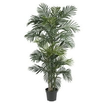 6 1/2' Golden Cane Silk Palm Tree