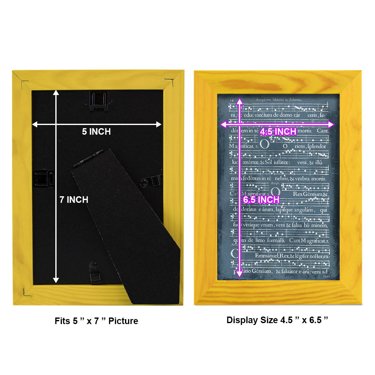 Graphic Songbook IV -Framed Print w/glass-Sunflower Yellow