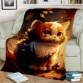 thumbnail image 1 of Mignon Calico Chat Garfield Chat Persan Ragdoll Dessin Animé Couverture Doux Jeter pour la Maison Chambre Lit Canapé Couverture Enfants, 1 of 7