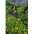 thumbnail image 2 of Jaynes Gallery 11x14 Black Ornate Wood Framed with Double Matting Museum Art Print Titled - USA-Colorado-Uncompahgre National Forest Mountain landscape with waterfall and wildflowers, 2 of 4