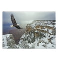 thumbnail image 1 of Africa Cutting Board, Aerial View of Bald Eagle Flying in the Snow Covered Grand Canyon Rocky Art, Decorative Tempered Glass Cutting and Serving Board, Large Size, White Brown, by Ambesonne, 1 of 1