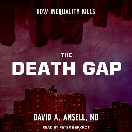 The Death Gap (Audiobook)