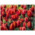 thumbnail image 1 of Flowers Ceramic Tile Mural Kitchen Backsplash Bathroom Shower 402347-L43, 1 of 3