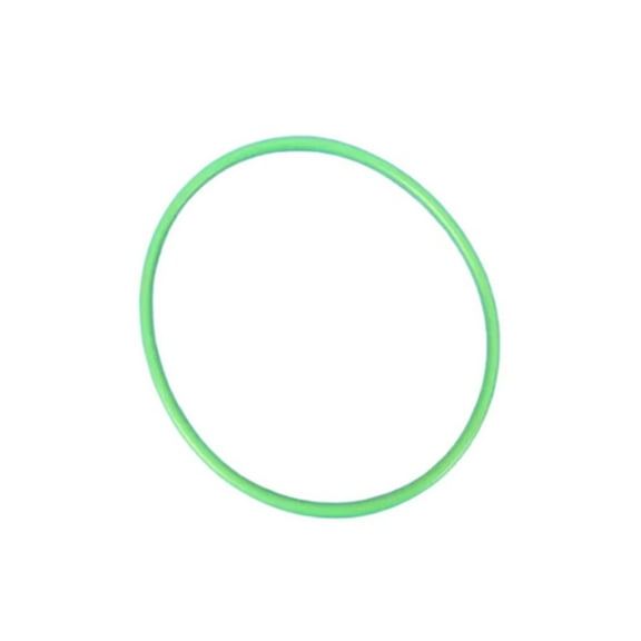 KarParts360 For Ram ProMaster 1500/2500/3500 2014-2024 Fuel Pump O-Ring