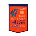 thumbnail image 1 of NCAA Florida Gators Lil Fan Banner, 1 of 1