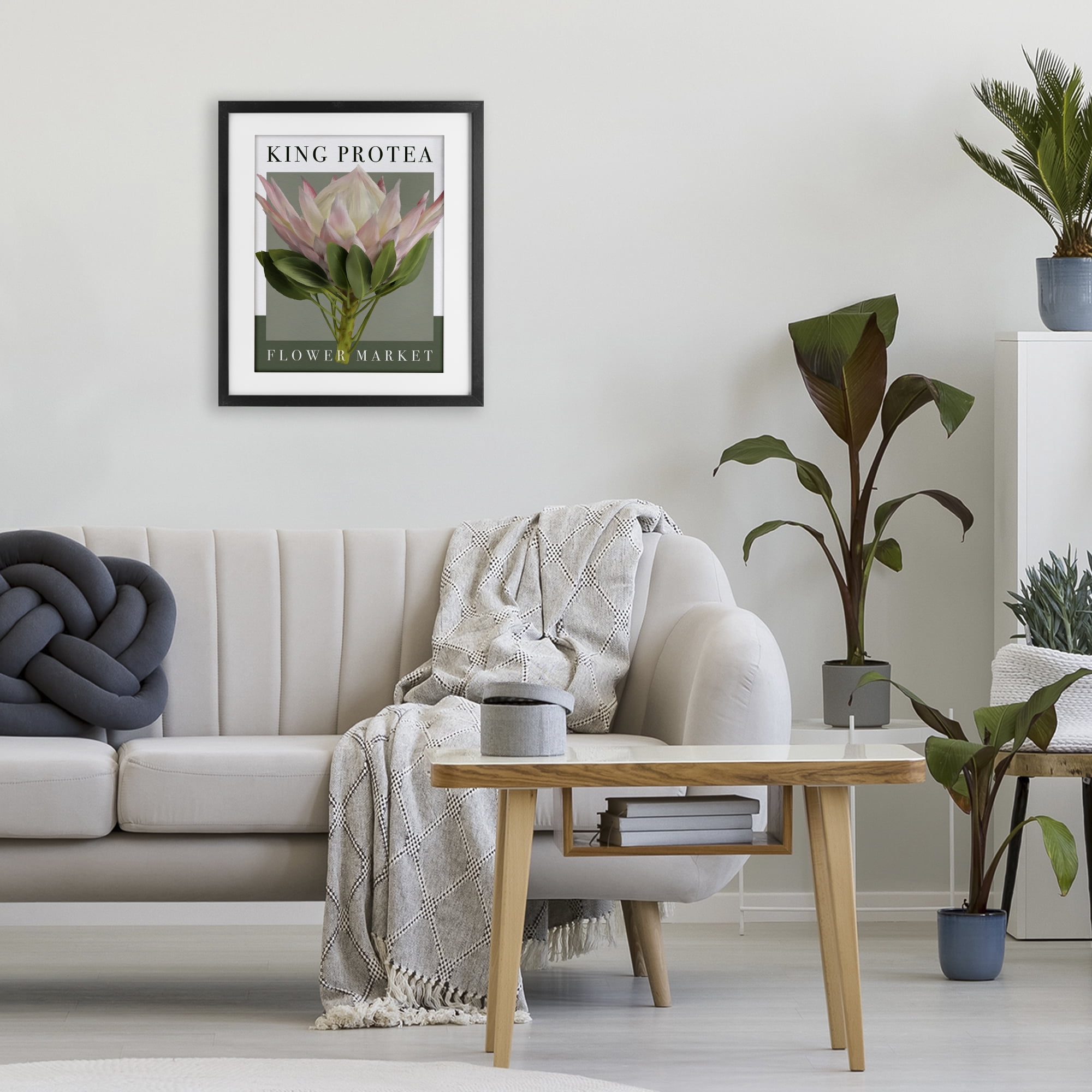Stupell Industries King Protea Flower Market Black Framed Print Under Glass, design by Jennifer Stith