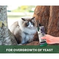 thumbnail image 6 of Gou Gou Pets Holistic Natural Anti-Fungal Shampoo for Dogs & Pets: Relieve Itching & Flaking Skin Caused by Fungal Infections & Skin Conditions with Natural & Clean Ingredients - Made in USA - 16 oz, 6 of 9